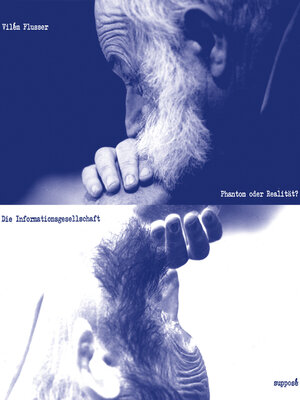 cover image of Die Informationsgesellschaft